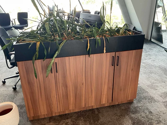 Archiefkast met plantenbak - afbeelding 1 van  2