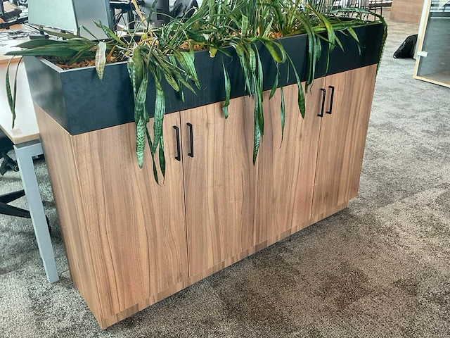 Archiefkast met plantenbak - afbeelding 2 van  2