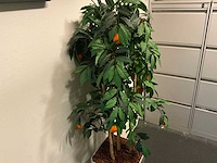 Archiefstelling - afbeelding 5 van  7