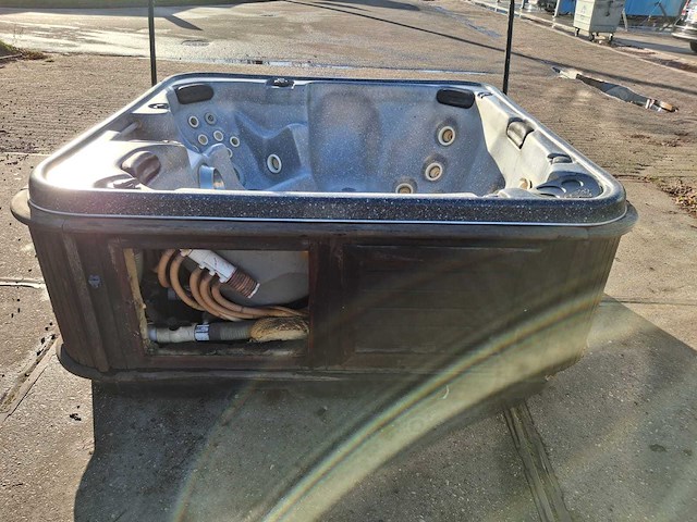 Arctic spas 4 persoons jacuzzi en buitenspa - afbeelding 20 van  28