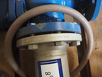 Ari - afbeelding 4 van  6