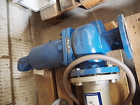 Ari - afbeelding 5 van  6