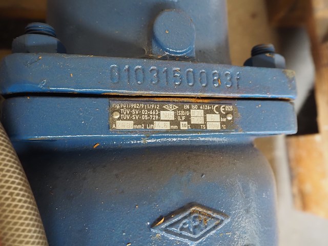 Ari - afbeelding 6 van  6