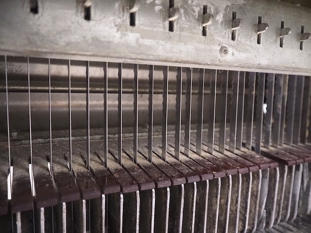 Arnold kalmeijer - afbeelding 6 van  8