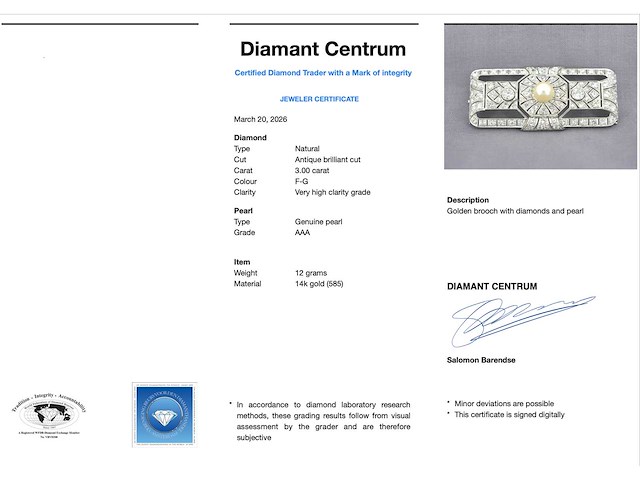 Art deco broche met diamanten hoge kwaliteit - afbeelding 3 van  9