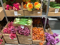 Art en emerald kunstbloemen - afbeelding 1 van  5