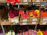 Art en emerald kunstbloemen - afbeelding 18 van  18