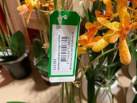 Art en emerald kunstplanten - afbeelding 2 van  11