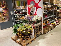 Art en emerald kunstplanten - afbeelding 1 van  11