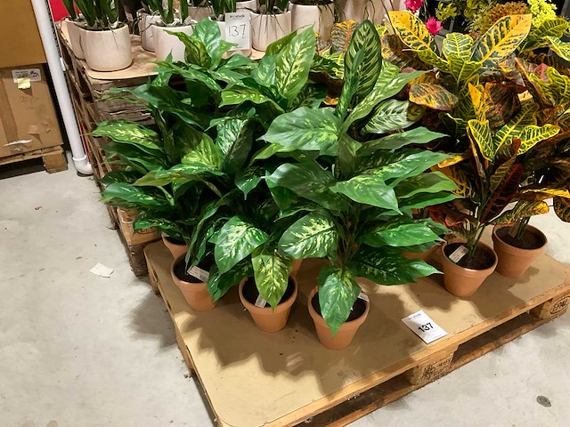 Art en emerald kunstplanten - afbeelding 5 van  11