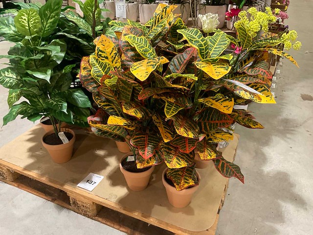 Art en emerald kunstplanten - afbeelding 7 van  11