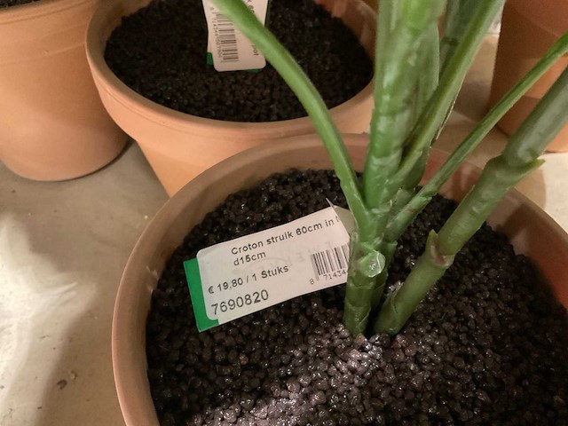 Art en emerald kunstplanten - afbeelding 8 van  11