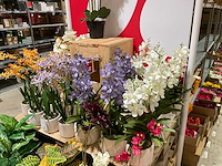 Art en emerald kunstplanten - afbeelding 9 van  11