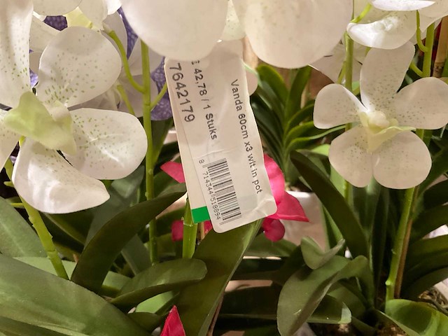 Art en emerald kunstplanten - afbeelding 10 van  11