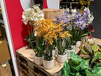 Art en emerald kunstplanten - afbeelding 11 van  11