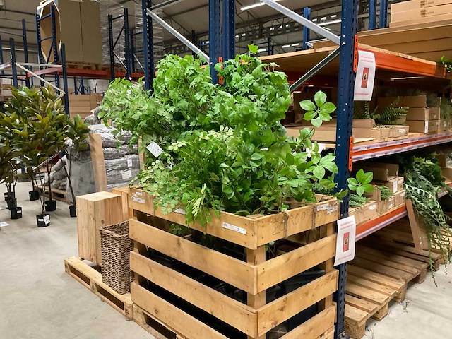 Art kunsttakken - afbeelding 1 van  5