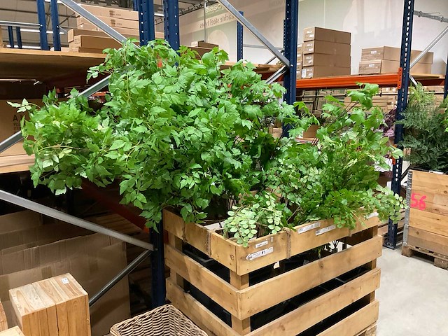 Art kunsttakken - afbeelding 2 van  5