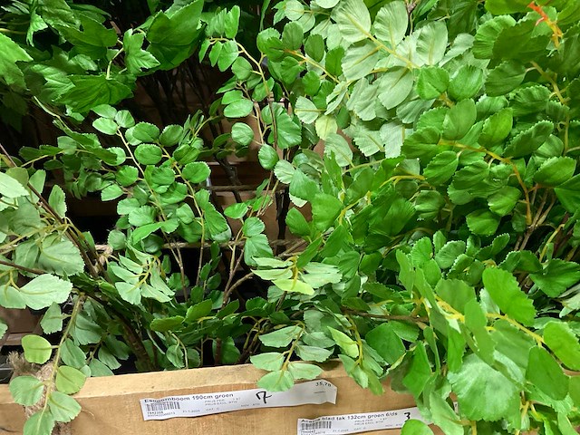 Art kunsttakken - afbeelding 3 van  5