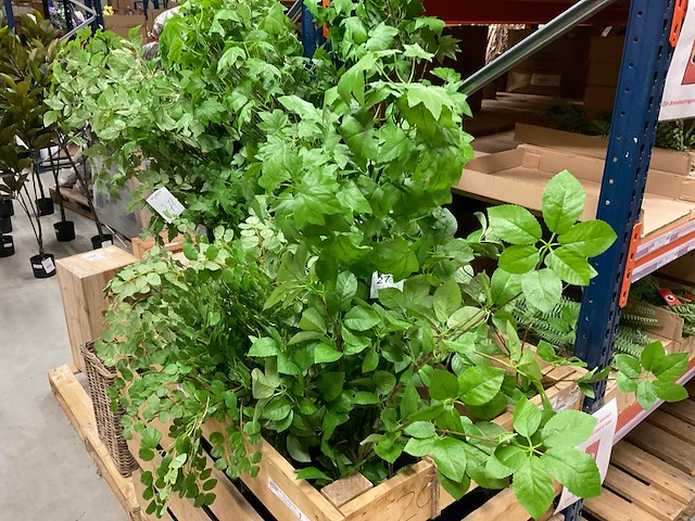 Art kunsttakken - afbeelding 4 van  5