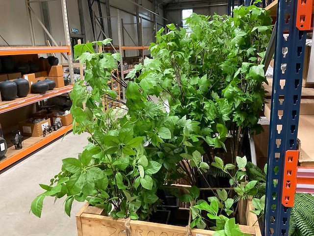 Art kunsttakken - afbeelding 5 van  5