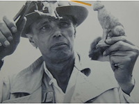 Art print joseph beuys ‘goldhase 1982’ - afbeelding 1 van  1