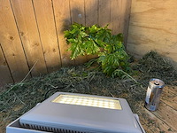 Artecta - lugano wash-40 ww - buitenverlichting (14x) - afbeelding 9 van  16