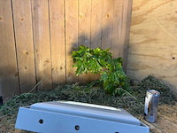 Artecta - lugano wash-40 ww - buitenverlichting (14x) - afbeelding 7 van  16