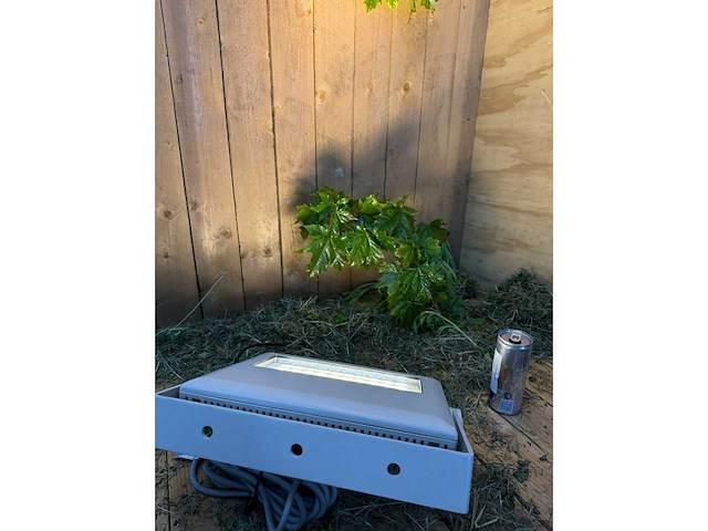 Artecta - lugano wash-40 ww - buitenverlichting (14x) - afbeelding 10 van  16