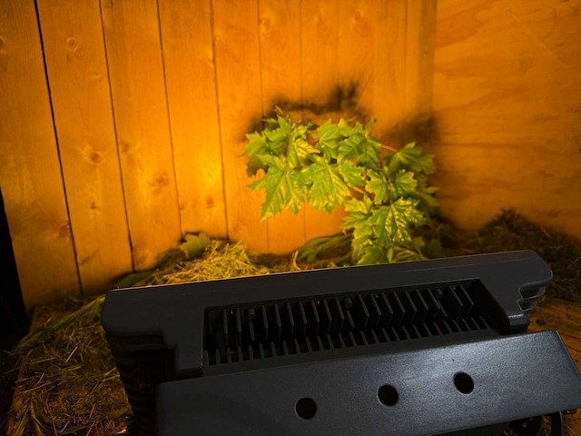 Artecta - porto wash - led outdoor projector (12x) - afbeelding 6 van  13