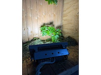 Artecta - porto wash - led outdoor projector (12x) - afbeelding 8 van  13