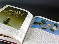 Arthur neguis - afbeelding 5 van  5