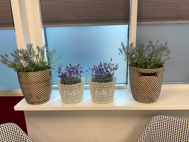 Artifort eetkamerstoel (2x) - afbeelding 5 van  6