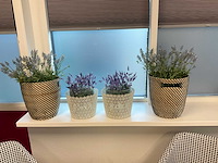 Artifort eetkamerstoel (2x) - afbeelding 5 van  6