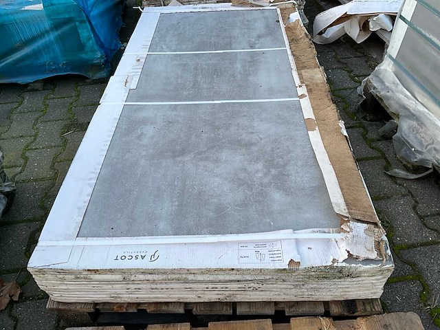 Ascot - prowalk grey - 75 x 150 cm - 12m2 vloertegel - afbeelding 4 van  5