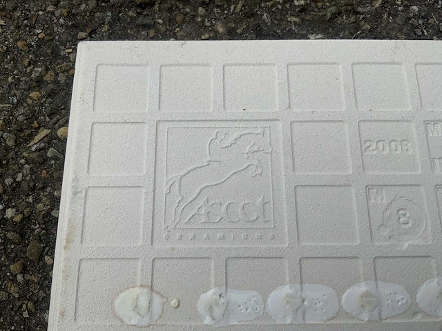 Ascot - pun white - 25x12,5cm - 8m2 - wandtegels - afbeelding 3 van  6