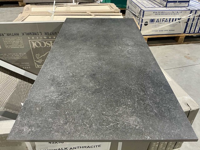 Ascot limewalk antracite 45x90 vloertegel 14m² - afbeelding 3 van  6