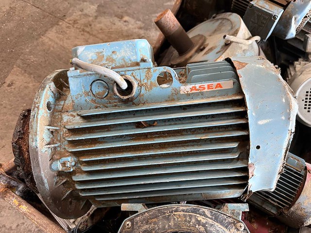 Asea - zware iec elektromotor / aandrijfmotor - afbeelding 4 van  17