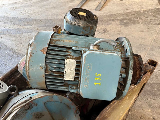 Asea - zware iec elektromotor / aandrijfmotor - afbeelding 17 van  17