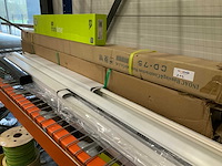 Aspen mini lime iwandgoten - afbeelding 3 van  3