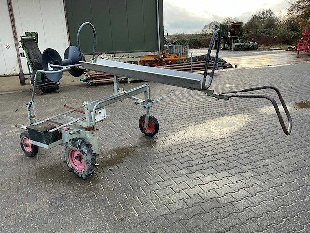 Asperge runner - afbeelding 5 van  12