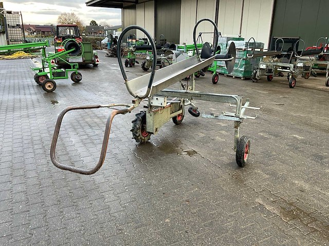 Asperge runner - afbeelding 6 van  12