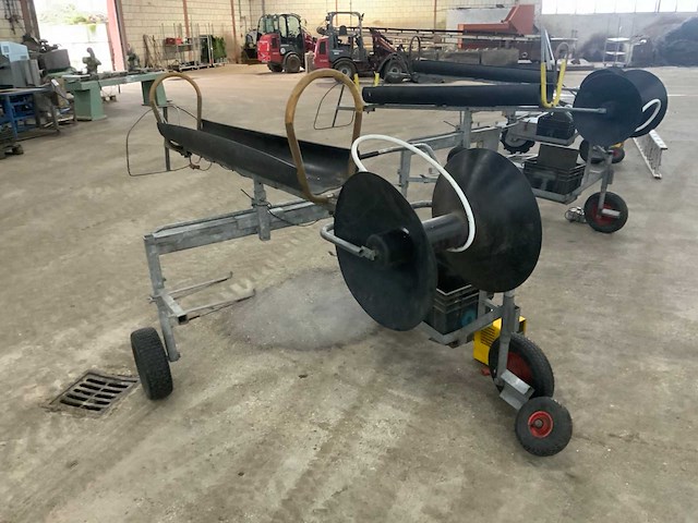 Asperge runner - afbeelding 4 van  9