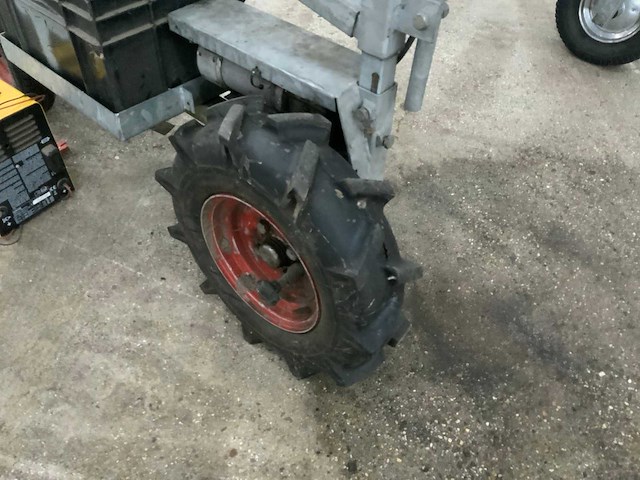 Asperge runner - afbeelding 7 van  9