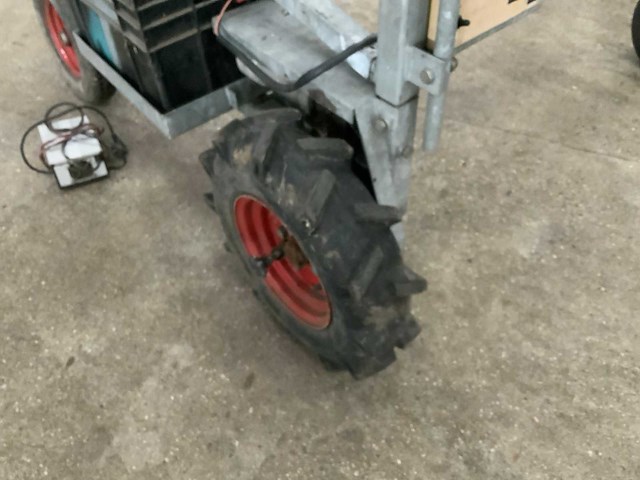 Asperge runner - afbeelding 7 van  9