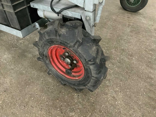 Asperge runner - afbeelding 6 van  8