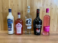Assorti drank (5x)