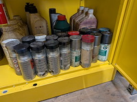 Assortiment auto vloeistoffen en reinigingsmiddelen - afbeelding 21 van  31