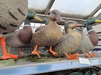 Assortiment dieren beelden o.a. ubbink - afbeelding 23 van  44