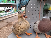 Assortiment dieren beelden o.a. ubbink - afbeelding 38 van  44