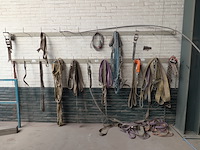 Assortiment hijs- en spanbanden - afbeelding 1 van  11